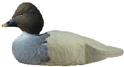 Daves Duck